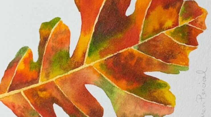 Watercolor by Karen Percival